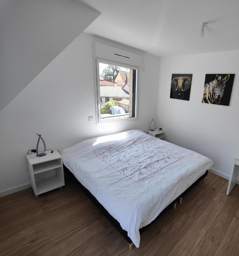 Appartement 48M², Strasbourg Centre A 15 Min En Train Fegersheim Ngoại thất bức ảnh